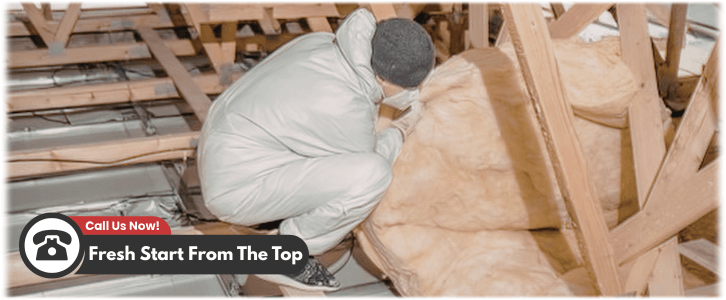 Attic Cleaning McKinney TX